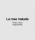 CND-La rose malade-CartelasWeb-517×59121